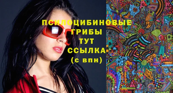 PSILOCYBIN Балабаново