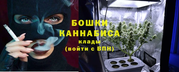 PSILOCYBIN Балабаново