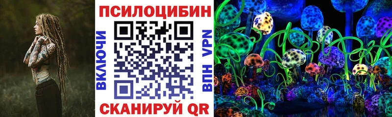 Псилоцибиновые грибы Magic Shrooms  Купить закладки  Бугульма 